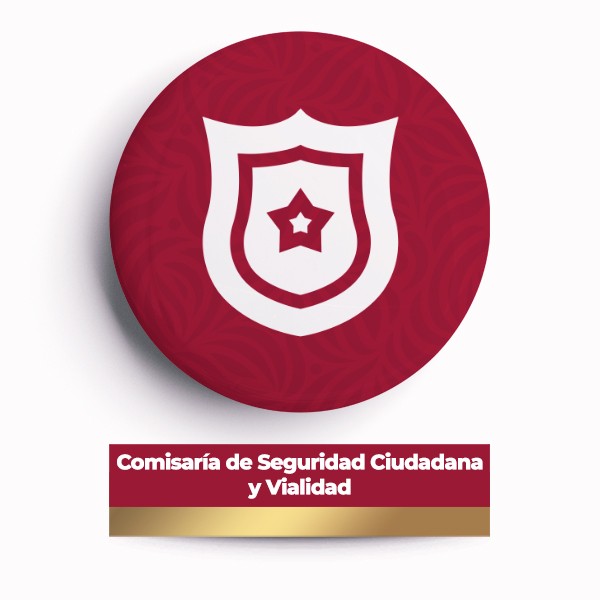 Seguridad y movilidad
