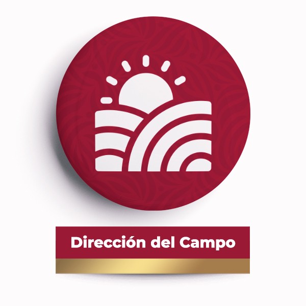 DEL CAMPO